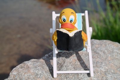 Lesende Ente im Liegestuhl
