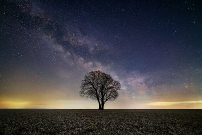 Nachthimmel mit Feld und Baum