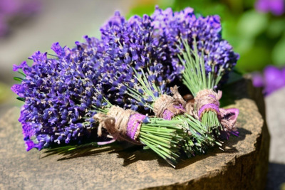 Lavendelsträußchen