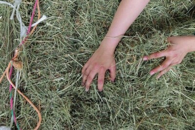 Workshop: „Setz dich!“